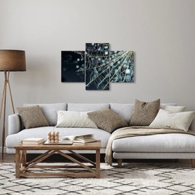 Kép - Virág pókhálóval (90x60 cm)