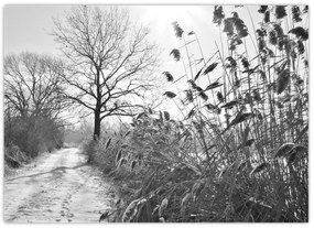 Kép - Mezők télen (70x50 cm)