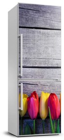 Hűtő matrica Színes tulipán FridgeStick-70x190-f-103218042