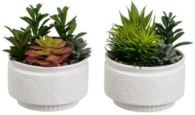 Műnövény szett 2 db-os (magasság 19 cm) Cactus – Casa Selección