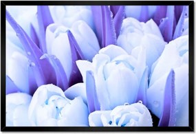 Poszter keretben 60x40 Kék tulipánok