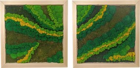Moha Vászonkép tölgyfa keretben 50x50 Diptichon szett 2 db moha