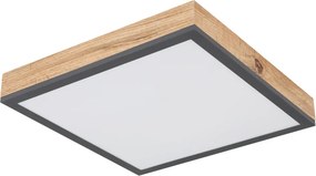GLOBO 416080WD1 DORO Négyzetes Mennyezeti Lámpa LED IP20