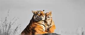 Kép - Tigris és a kölyke, fekete-fehér változat (120x50 cm)
