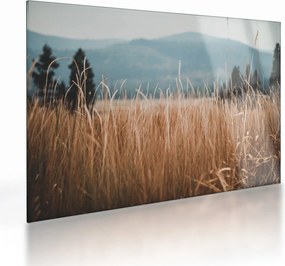 Kép - réti növényzet részlete (üvegen) (70x50 cm)