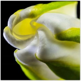 Poszterek 100x100 Nőnap Ajándék Love