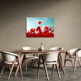 Fényes piros virágokkal rendelkező mező képe (üvegen) (70x50 cm)