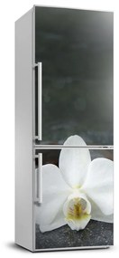 Hűtő matrica Orchidea FridgeStick-70x190-f-113617594