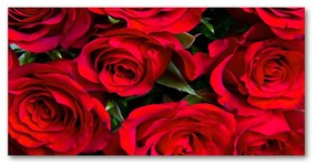 Akrilkép Vörös rózsák oah-76865971