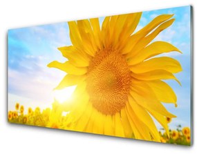 Üvegkép falra Napraforgó Sun Flower 120x60cm 2 fogas