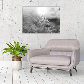Üveg kép - Őszi rét (70x50 cm)