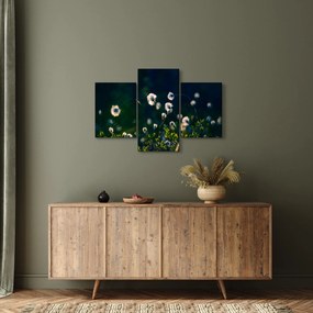 Kép - Fű (90x60 cm)