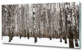 Üvegfotó Nyírfák télen osh-76031921