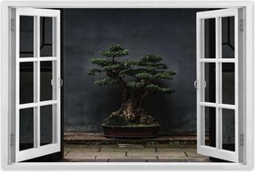 Poszterek 90x60 Bonsai Fa Kultúra