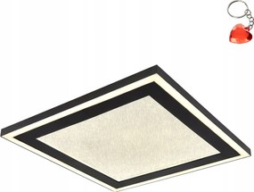 Led mennyezeti lámpa 24W Davies 48903 Globo