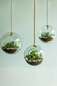 Üveg növényterrárium ø 15 cm – Esschert Design