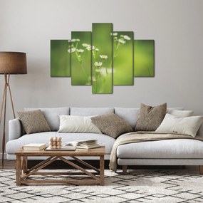 Egy százszorszép képe (150x105 cm)