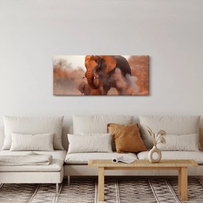 Kép - Nagy afrikai elefánt (120x50 cm)