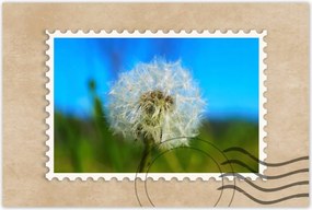 Poszterek 60x40 Pitypang Virág Virágok