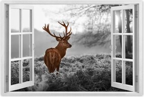 Poszterek 90x60 Méltóságteljes szarvas szarvakkal