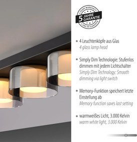 Paul Neuhaus modern mennyezeti lámpa rika fekete pln6164-18