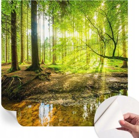 Öntapadós Mosható Fali Fotótapéta Zöld táj 250x250 cm