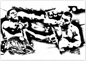 Fotótapéták 208x146 Mike Tyson Boxer Harc