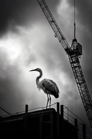 Poszter 20x30cm Magasan a horizont felett