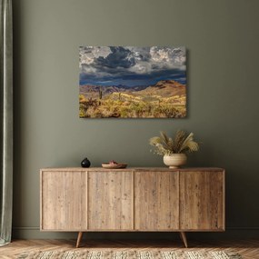 Kép - kaktuszok a természetben (90x60 cm)