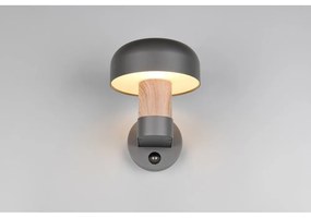 Fali kültéri lámpa (magasság 24,5 cm) Fraser – Trio