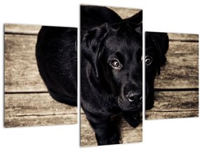 Egy fekete kiskutya képe (90x60 cm)