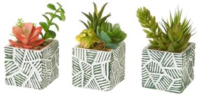 Műnövény szett 3 db-os (magasság 12 cm) Cactus – Casa Selección