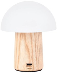 Natúr színű szabályozható asztali lámpa üveg búrával (magasság 13 cm) Alice – Gingko