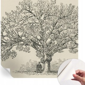 Öntapadós fali fotótapéta Hálószobába Fa illusztráció 250x250 cm