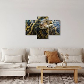 Kép - Piton (90x60 cm)