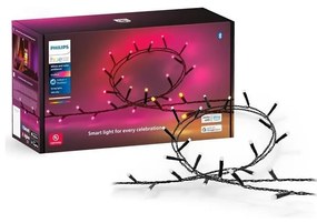 Philips-LED RGBW Dimmelhető kültéri lánc HUE WACA 250xLED 24,4 m IP54 8720169246621