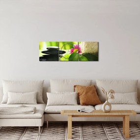 A masszázs segédeszközök képe (órával) (90x30 cm)