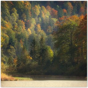 Poszterek 140x140 Erdei táj Kilátás