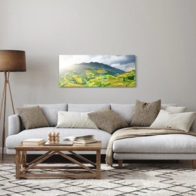 Ültetvények képe (120x50 cm)
