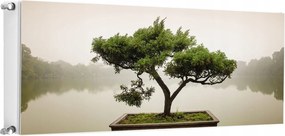 Mágneses Radiátorszőnyeg 140x60 Fa Fotótapéta