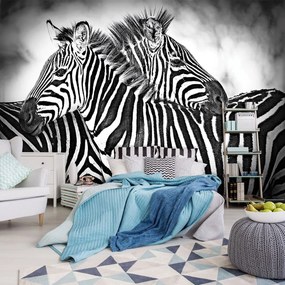 Fotótapéta - Zebra (152,5x104 cm)