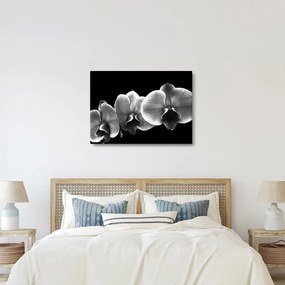 Egy orchidea virág képe (70x50 cm)