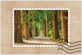 Poszterek 90x60 Tájkép