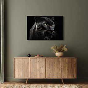 Kép - Fekete Párduc (90x60 cm)