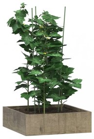 5 db zöld acél kerti növénytámasz 3 gyűrűvel 75 cm