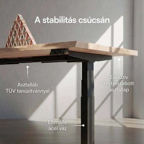 Elektromosan állítható magasságú asztal Liftor Expert, fehér