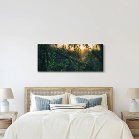 A ragyogó nap képe a fák gallyain keresztül (120x50 cm)