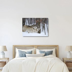 Üveg kép - Farkasok télen (70x50 cm)