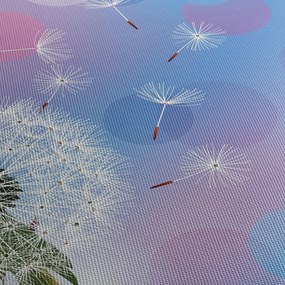 Kép - Pitypang a szélben (120x50 cm)