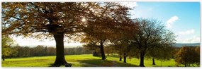 Poszterek 200x66 Őszi tájkép